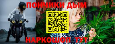 эйфоретик Аргун