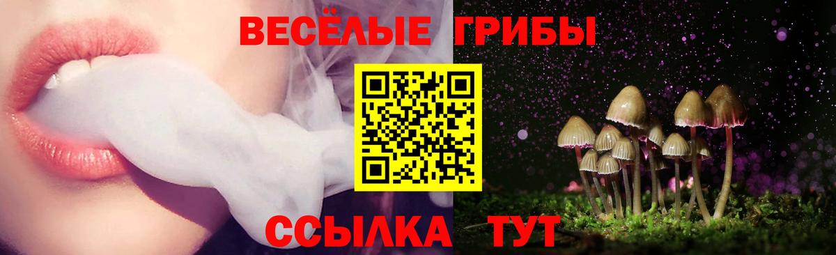 Галлюциногенные грибы GOLDEN TEACHER Вольск