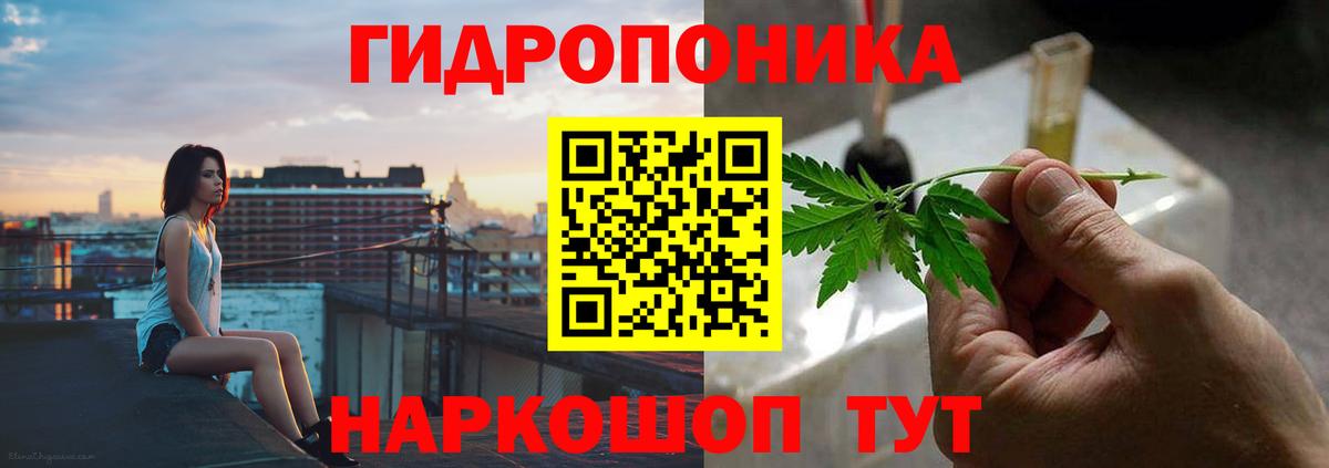 Канабис план  Марихуана планчик  МАРИХУАНА конопля  Вход с VPN  Вольск 